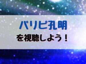 パリピ孔明アニメ動画視聴